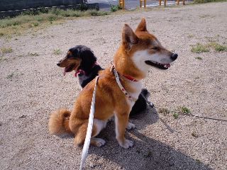 2011.4.15-3.JPG