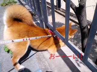 危ないよ３
