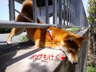 危ないよ４
