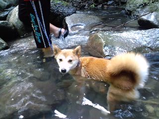 2011.7.11-4.JPG