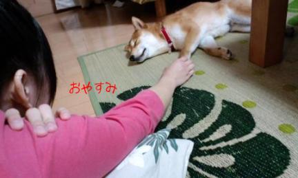 おやすみ