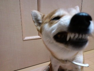 2011.1.12-5.JPG