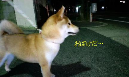 夜の散歩３