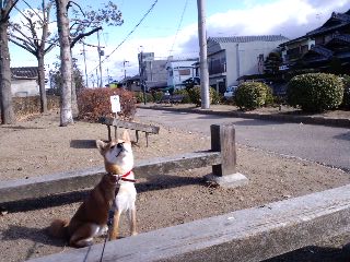 2011.3.31-4.JPG