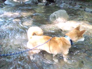 2011.7.11-5.JPG