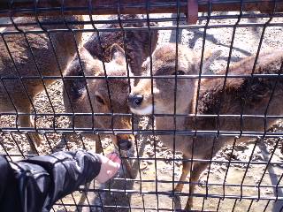 2011.1.10-1.JPG