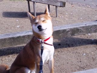 2011.3.31-5.JPG
