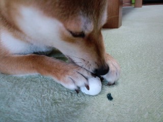 2011.6.20-2.JPG