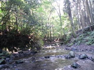 2011.7.11-6.JPG