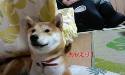 おかえり