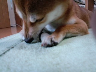 2011.6.20-3.JPG