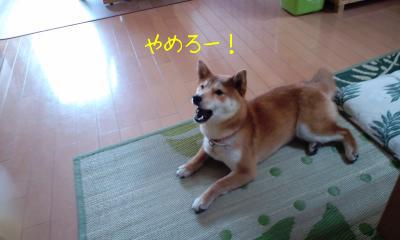 うちわ２