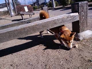 2011.3.31-6.JPG