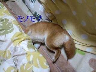 もぞもぞ２