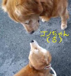 雨の日７