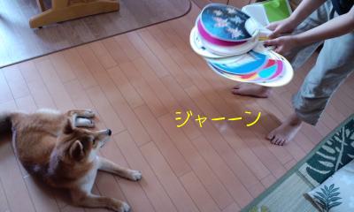うちわ１