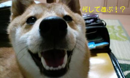 学校４