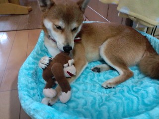 2011.1.19-1.JPG