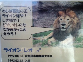 2011.1.10-4.JPG