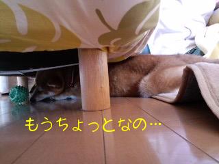 もう少し！