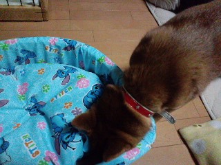 2011.4.11-5.JPG