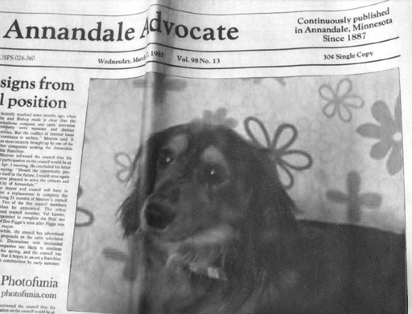 PhotoFunia-a66559.jpg