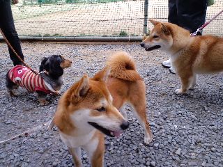 2011.2.25-1.JPG