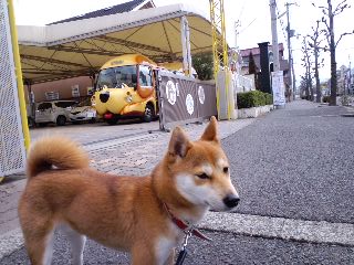 2011.5.20-3.JPG