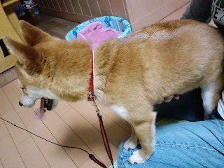 2011.5.17-1.JPG