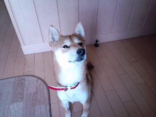 2011.1.10-6.JPG