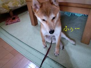 okinawa9.JPG