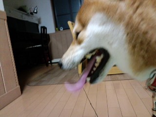 2011.5.17-2.JPG