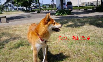 自然乾燥３