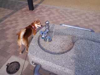 2011.6.18-1.JPG