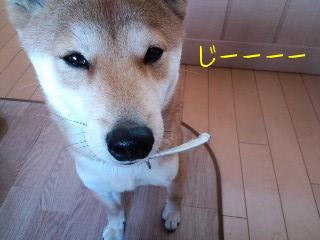2011.1.18-4.JPG