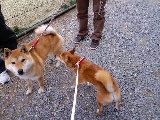 2011.2.25-3.JPG