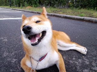 2011.5.29-3.JPG