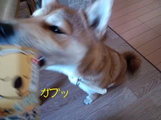 2011.1.18-5.JPG