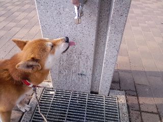 2011.6.18-3.JPG
