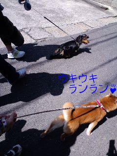 楽しいお散歩２☆