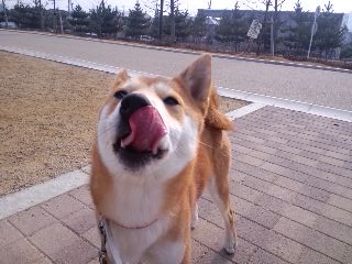 2011.6.18-4.JPG