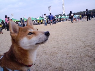 大阪城８