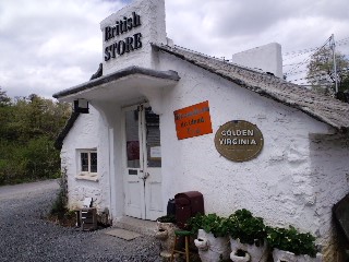 2011.5.10-1.JPG