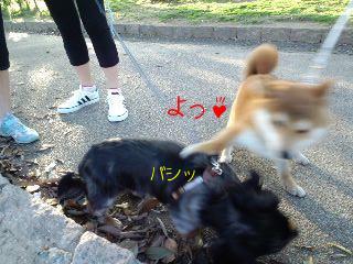 よっ！
