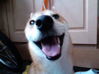 2011.7.2-3.JPG