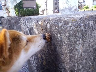 2011.7.15-5.JPG