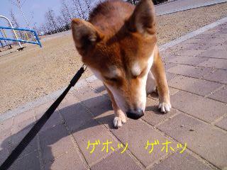 2011.2.5-2.JPG