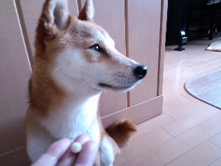 2011.5.30-1.JPG