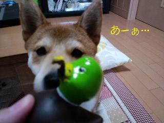 2010.11.14-2.JPG
