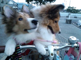 2011.7.30-4.JPG